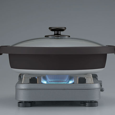Gourmet d'Expert® Electric Skillet EP-RAC50